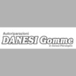 Danesi Gomme: Riparazioni Auto Professionali in Ticino