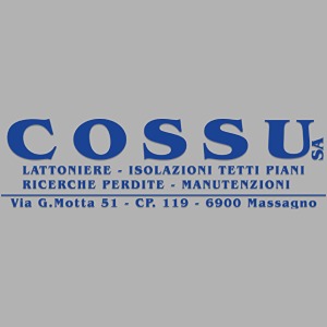 Cossu Lattoniere SA: tetti piani e tetti a falde in Ticino da oltre 20 anni