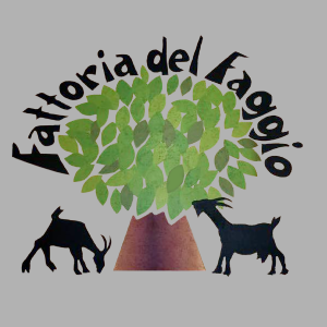 Fattoria del Faggio: passione tramandata da padre a figli da oltre 30 anni a Sonvico