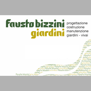Bizzini Fausto SA: oltre 70 anni di tradizione familiare nella progettazione, realizzazione e cura del verde