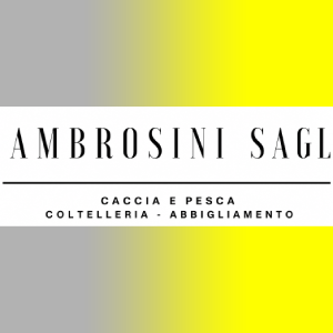 Ambrosini Lugano Sagl una tradizione centenaria nel cuore di Lugano dal 1914